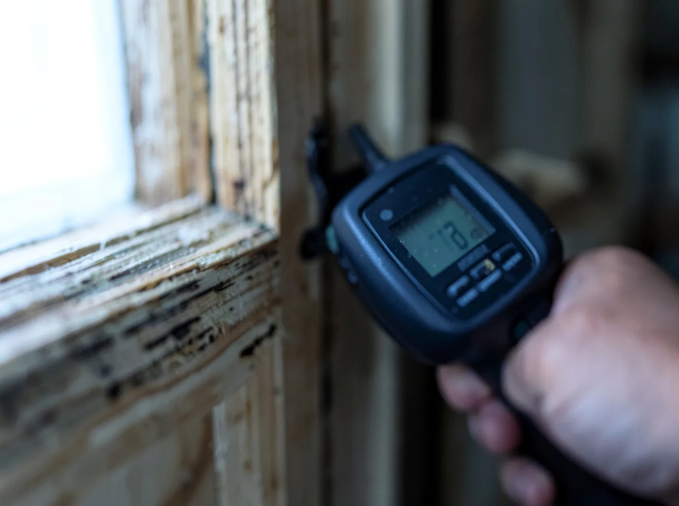 Moisture Inspection And Documentation in Jamul, CA